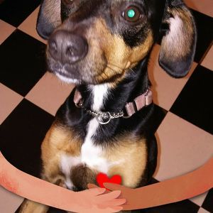 Meet your Posher, Debbie